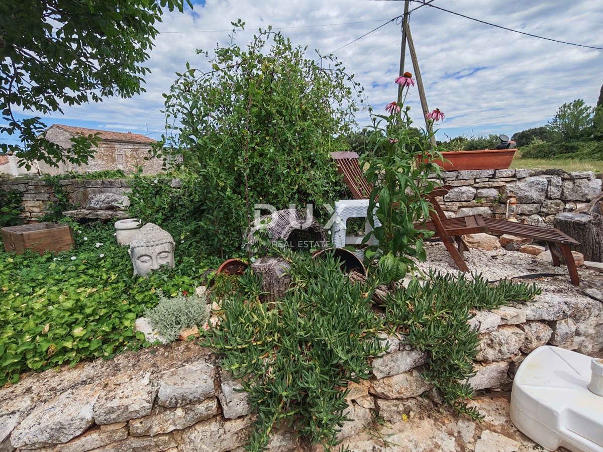 image 26