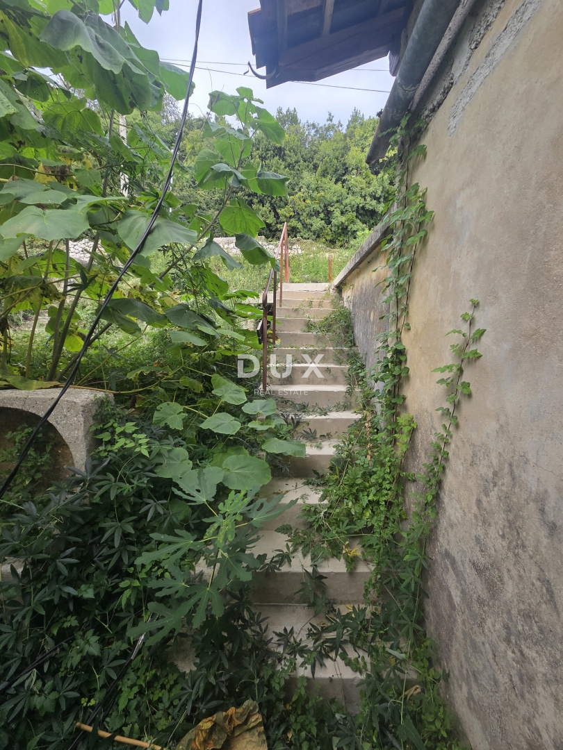 image 35