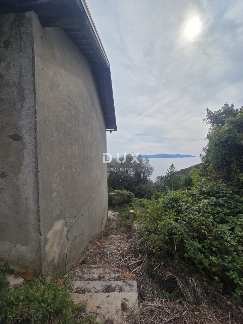 image 28