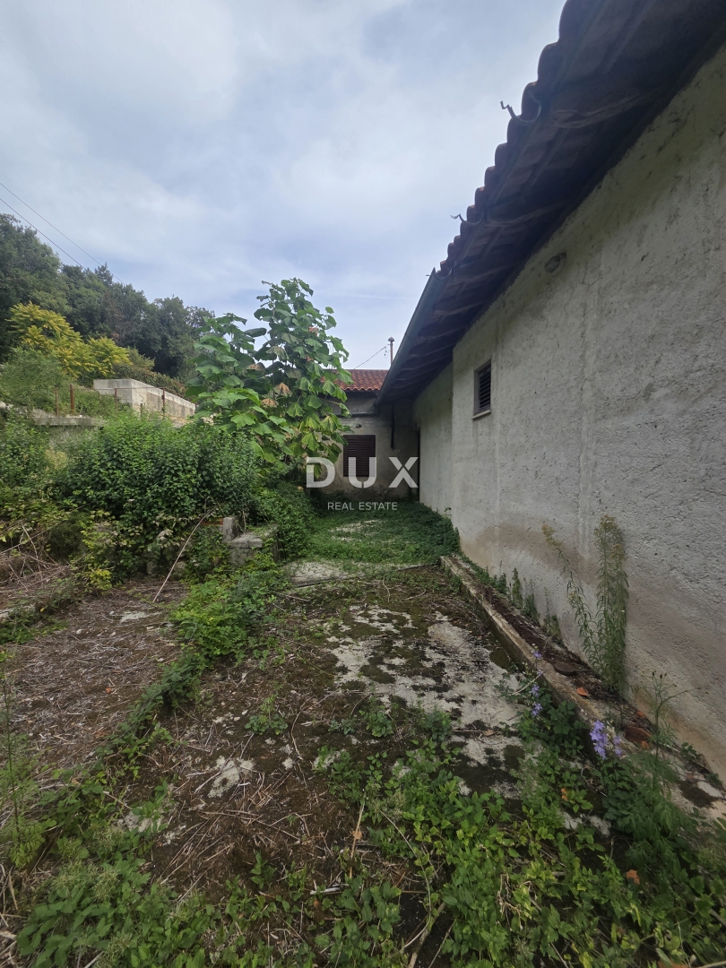 image 29