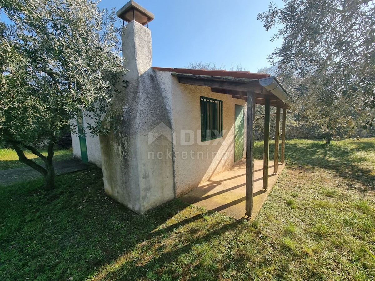 FAŽANA