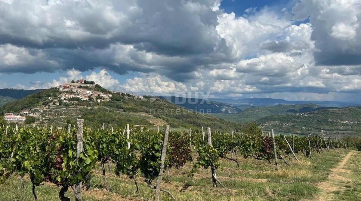 MOTOVUN