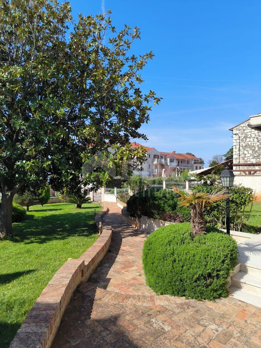 UMAG