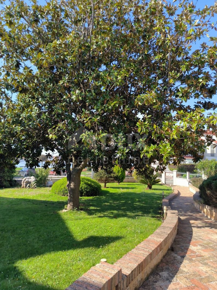 UMAG