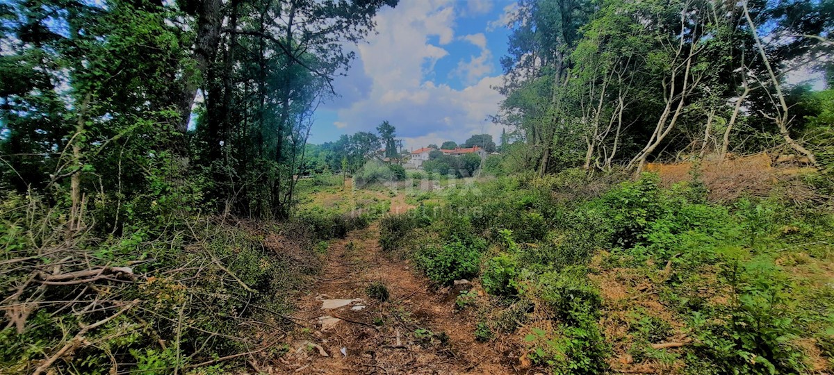 ŽMINJ