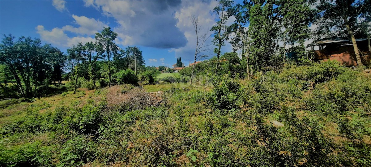 ŽMINJ