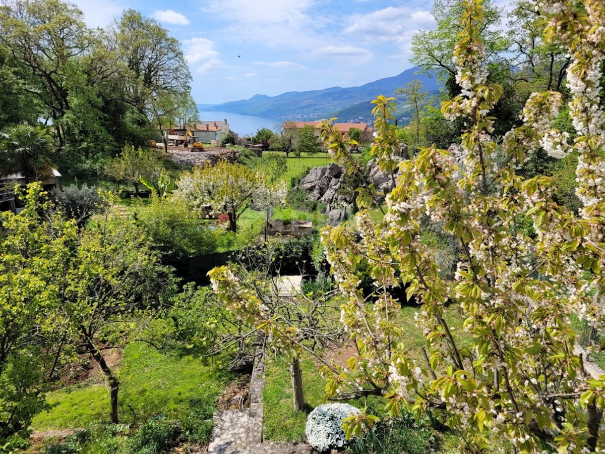 MATULJI