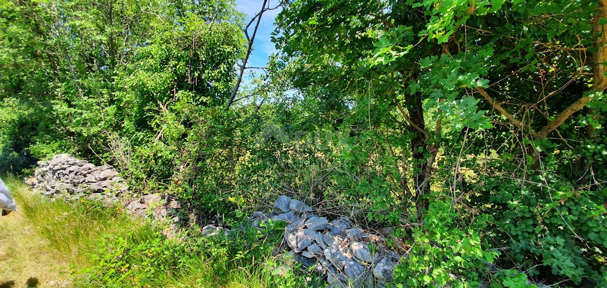 NEDEŠĆINA