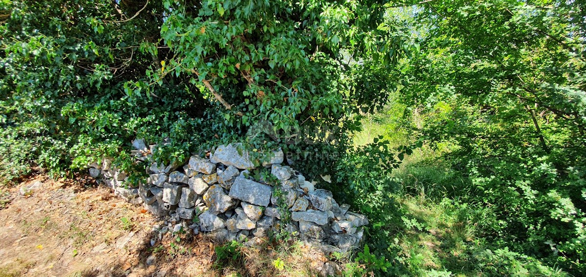 NEDEŠĆINA