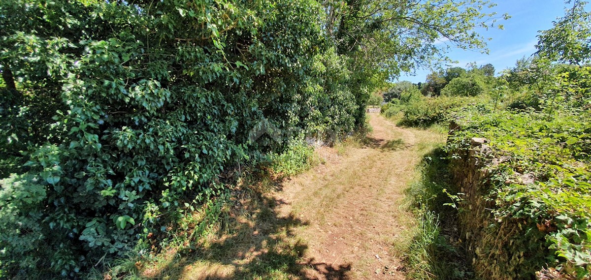NEDEŠĆINA