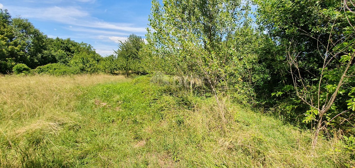 NEDEŠĆINA