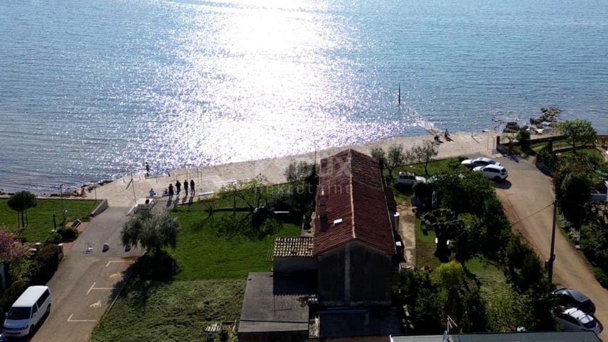 NOVIGRAD