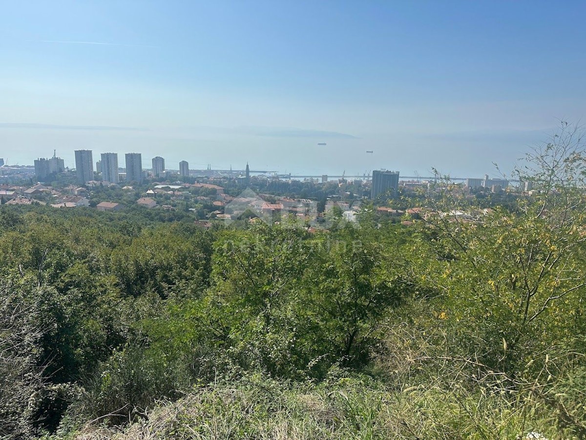 KOZALA