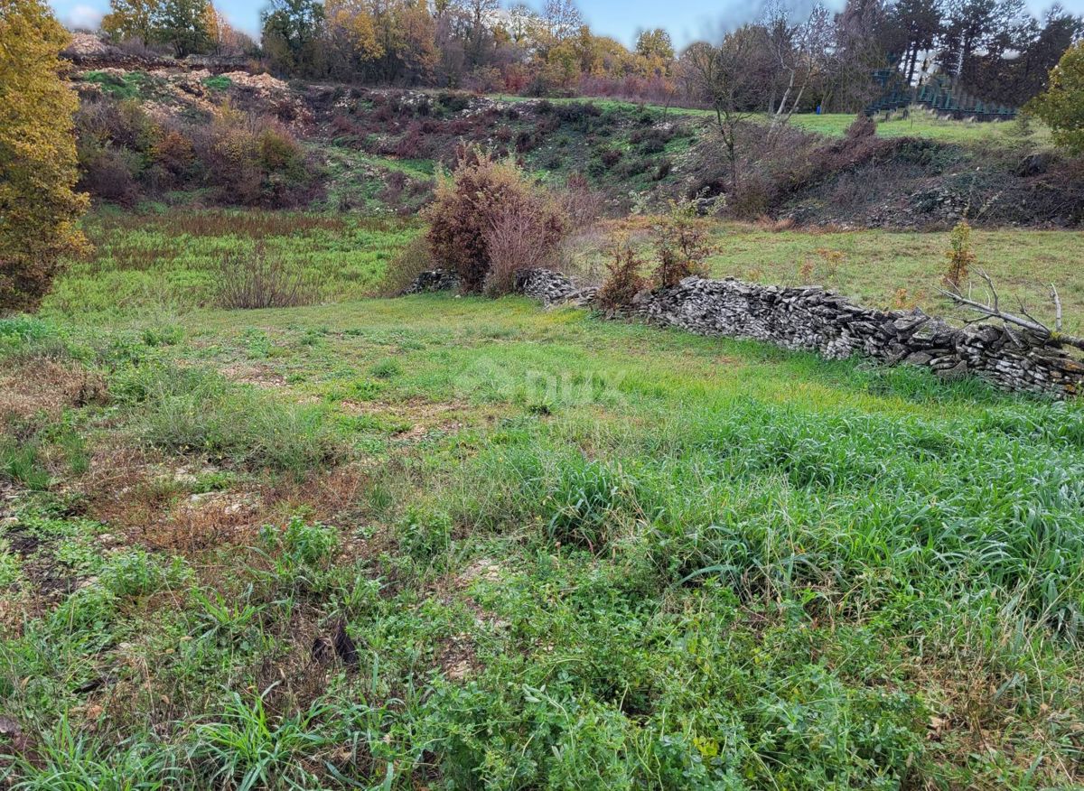 KANFANAR