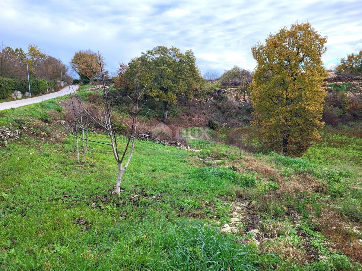 KANFANAR