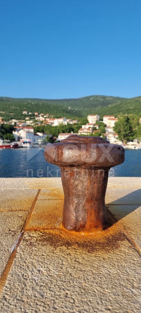 KLENOVICA