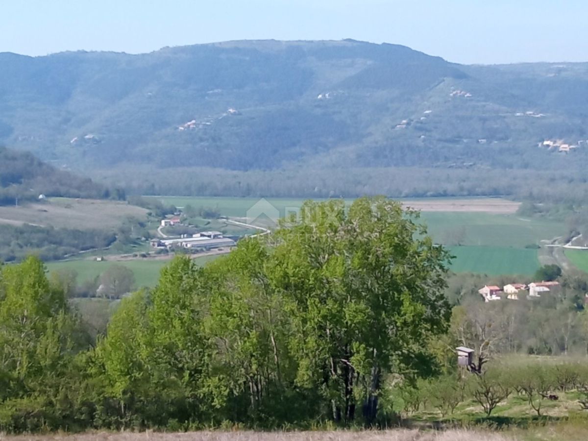 MOTOVUN