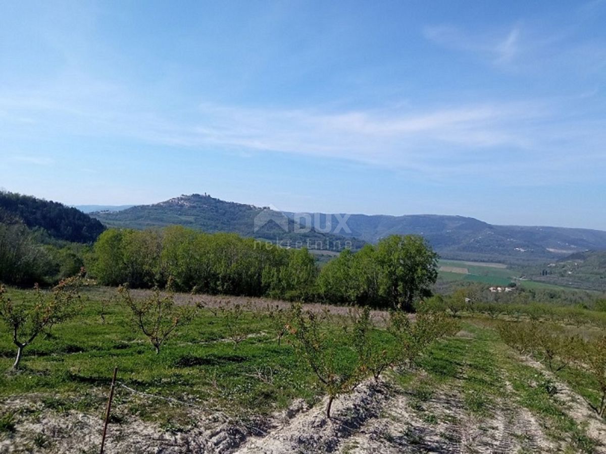 MOTOVUN
