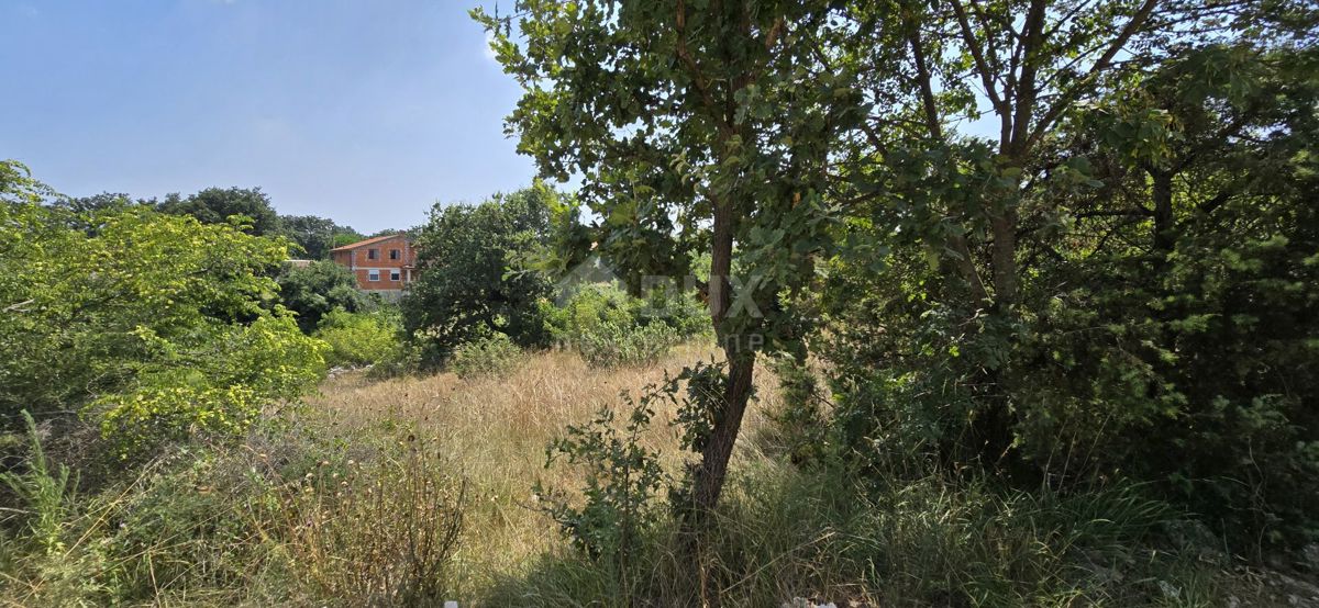 KRNICA