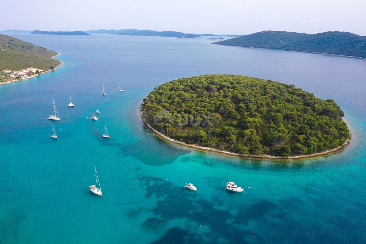 MOLAT