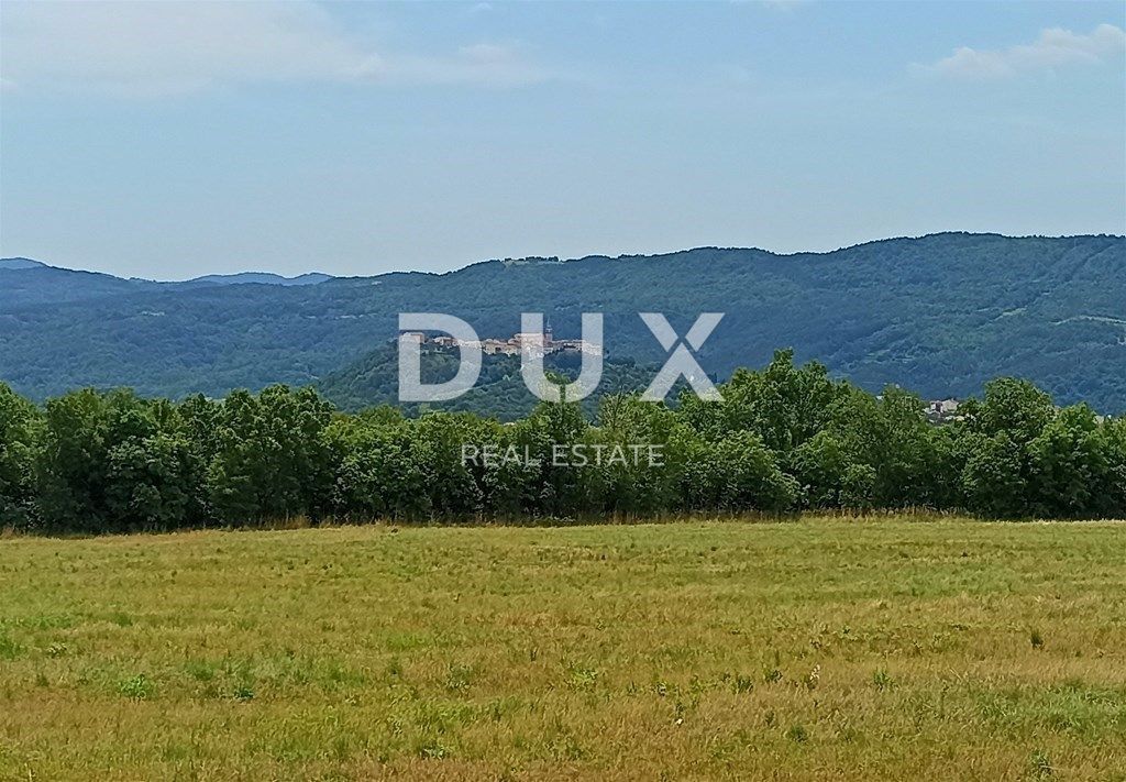 BUZET