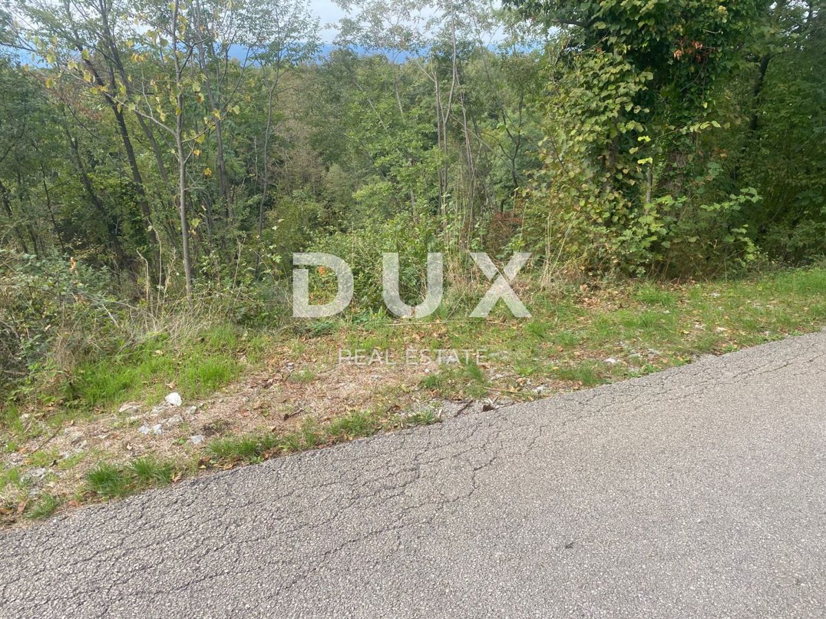 SARŠONI