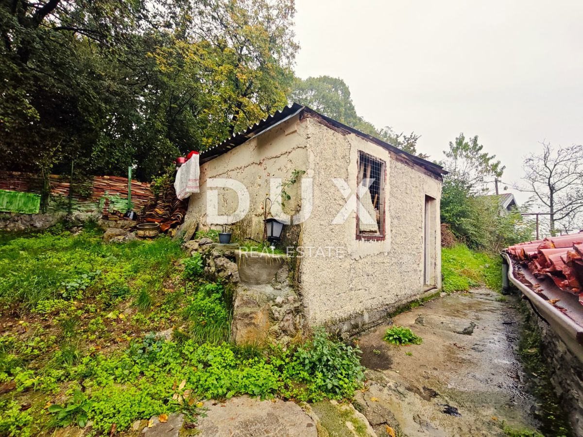 JUŠIĆI