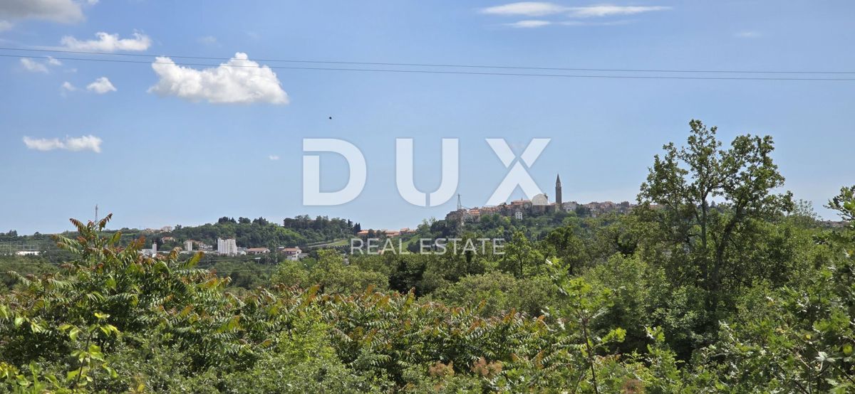 BUJE