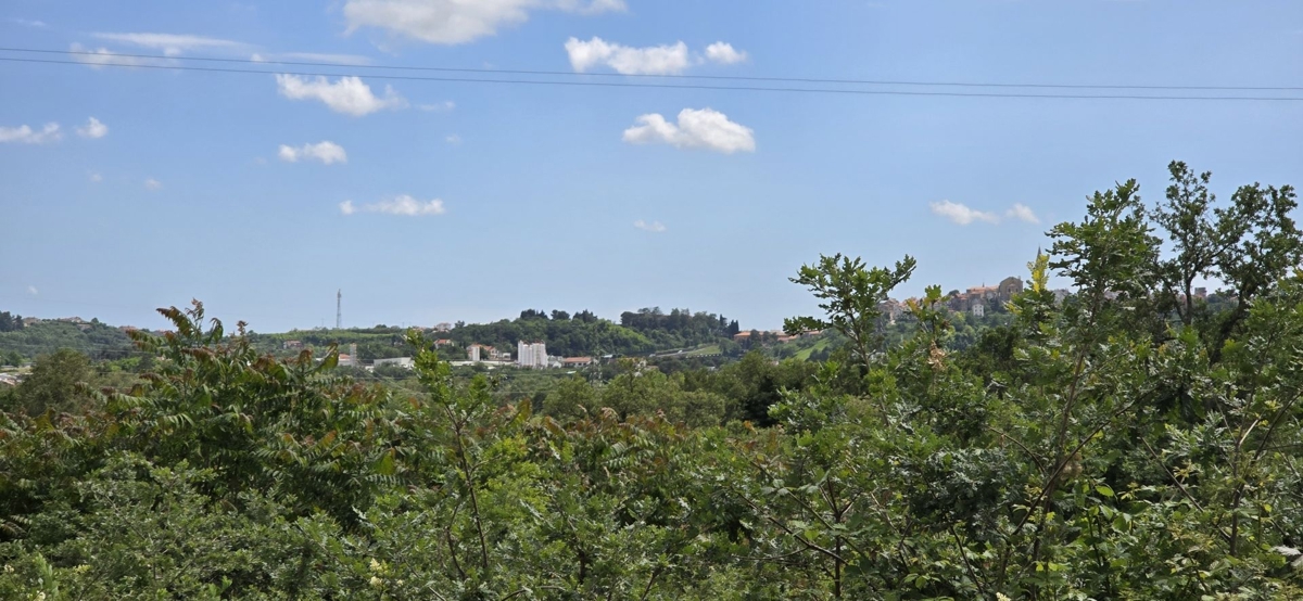 BUJE