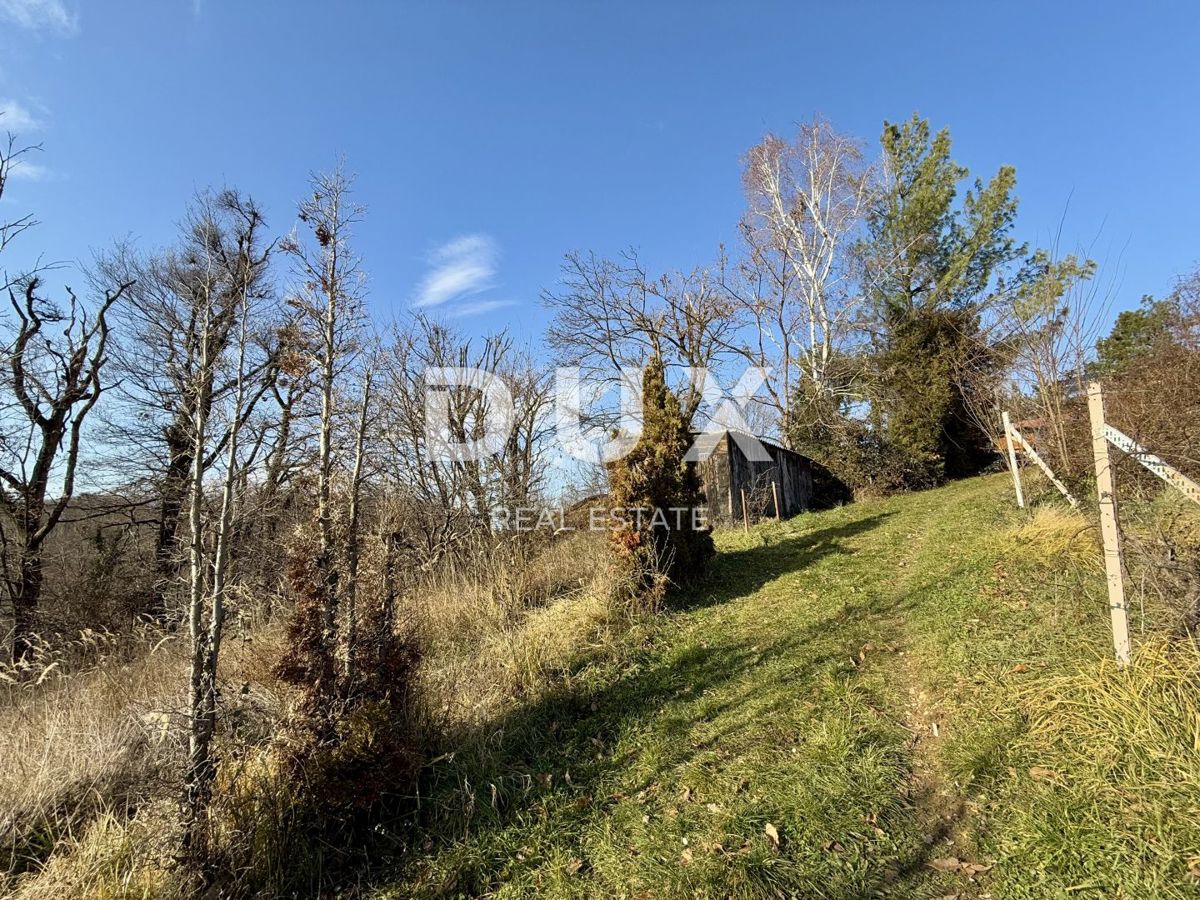 MARKUŠEVEC