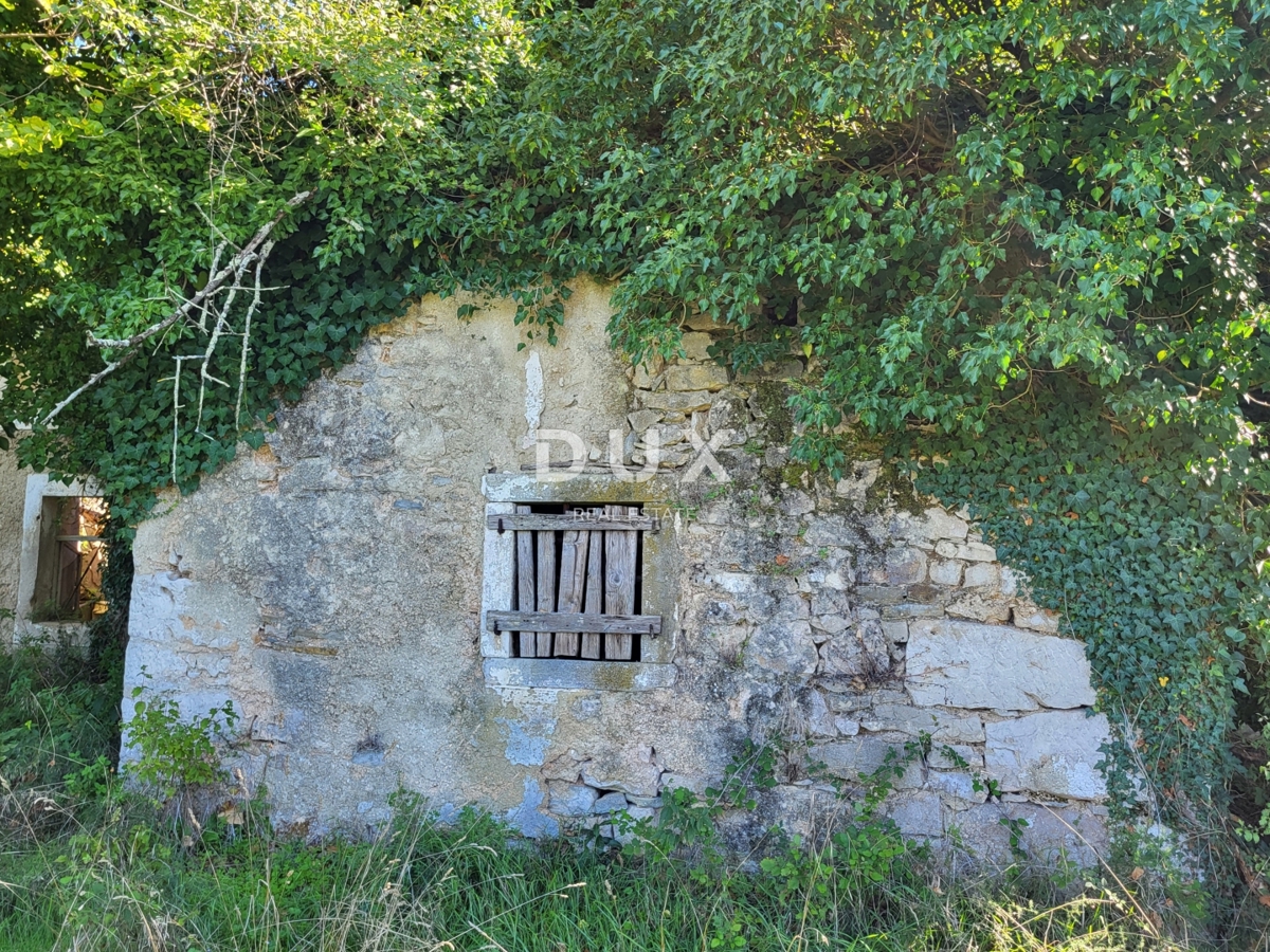 BOLJUNSKO POLJE