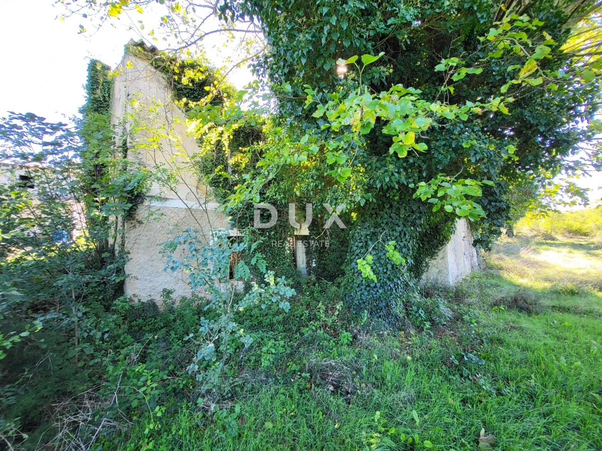 BOLJUNSKO POLJE
