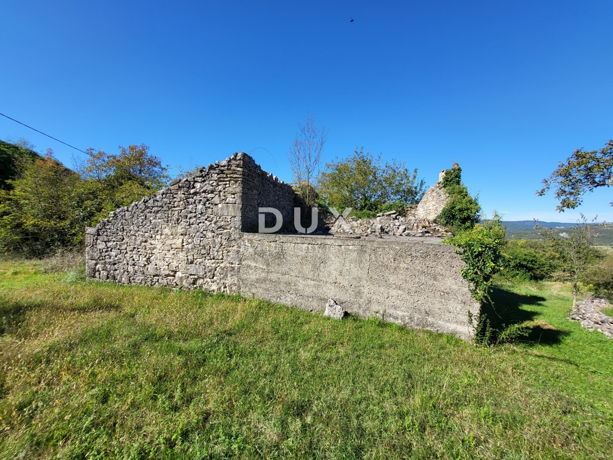 BOLJUNSKO POLJE