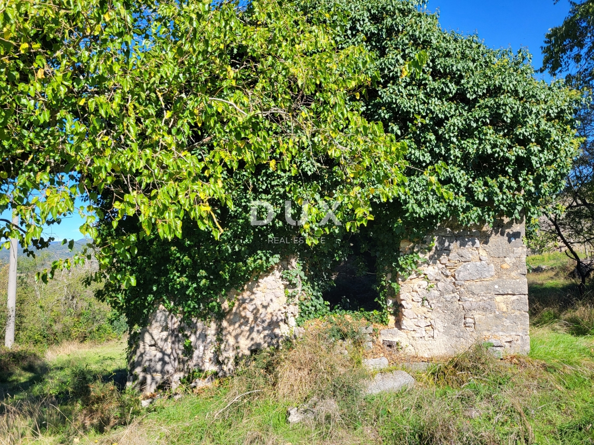 BOLJUNSKO POLJE