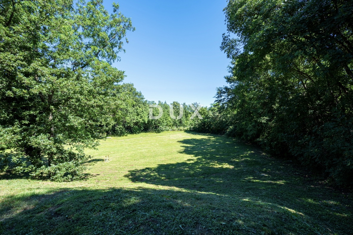 image 35