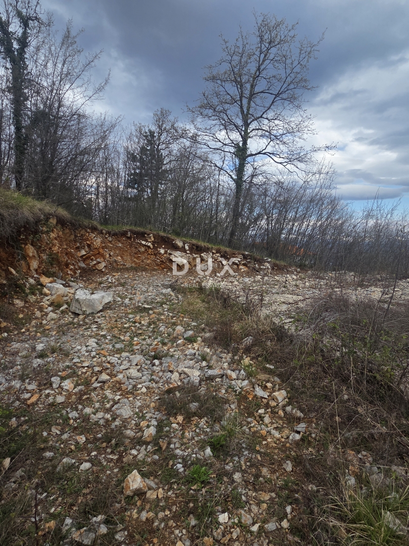 image 14
