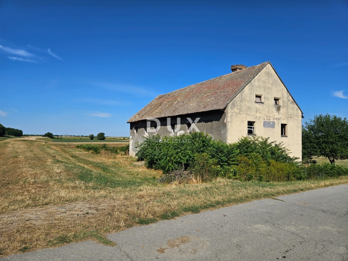 image 13
