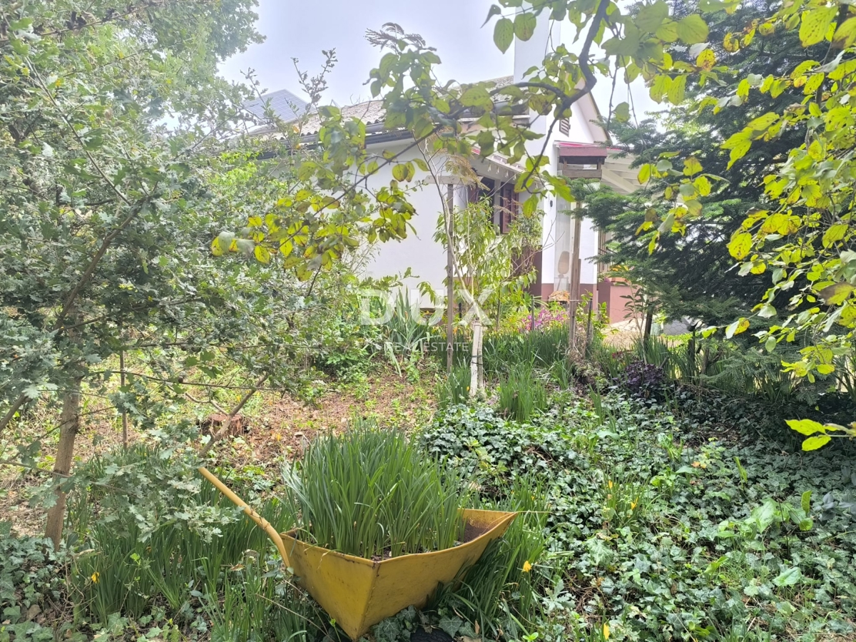 image 29