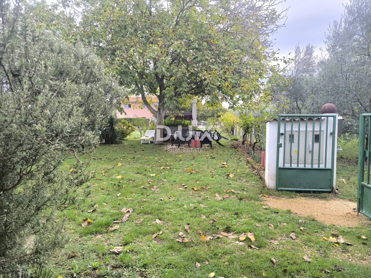 image 25