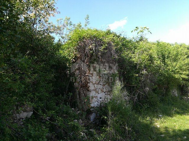 DUGA LUKA
