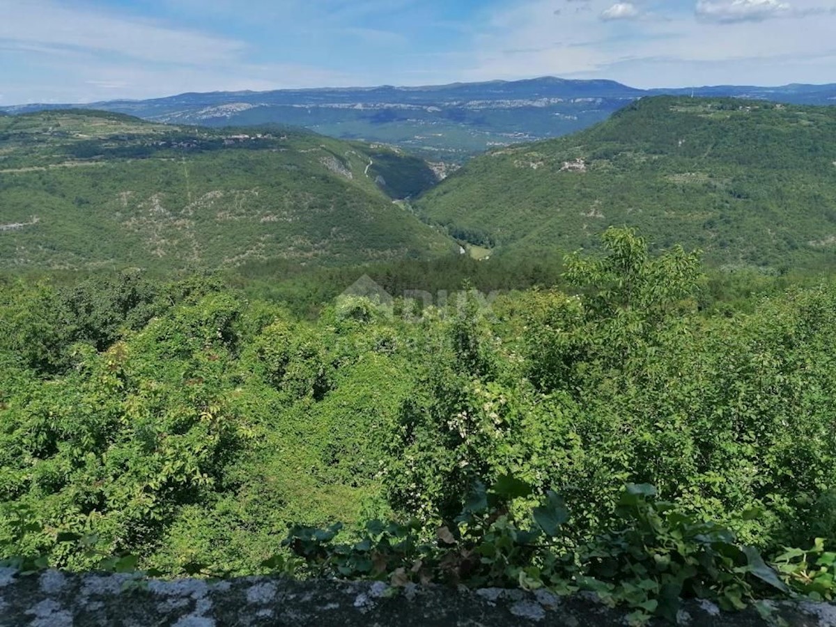 BUZET