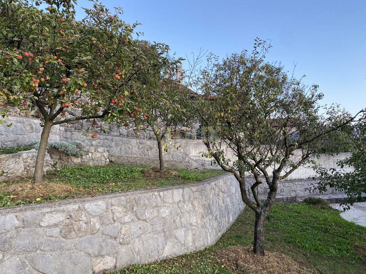 MATULJI