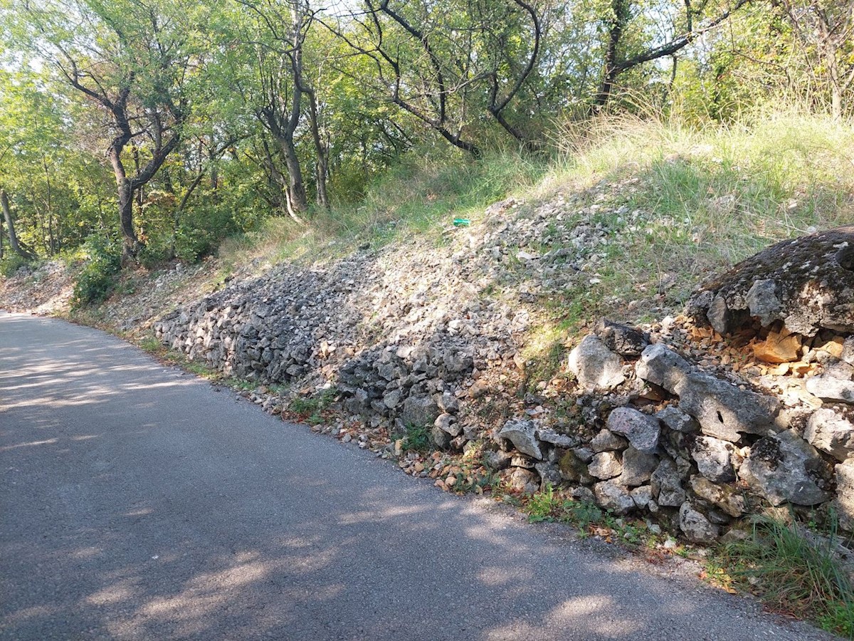 PLEŠIĆI
