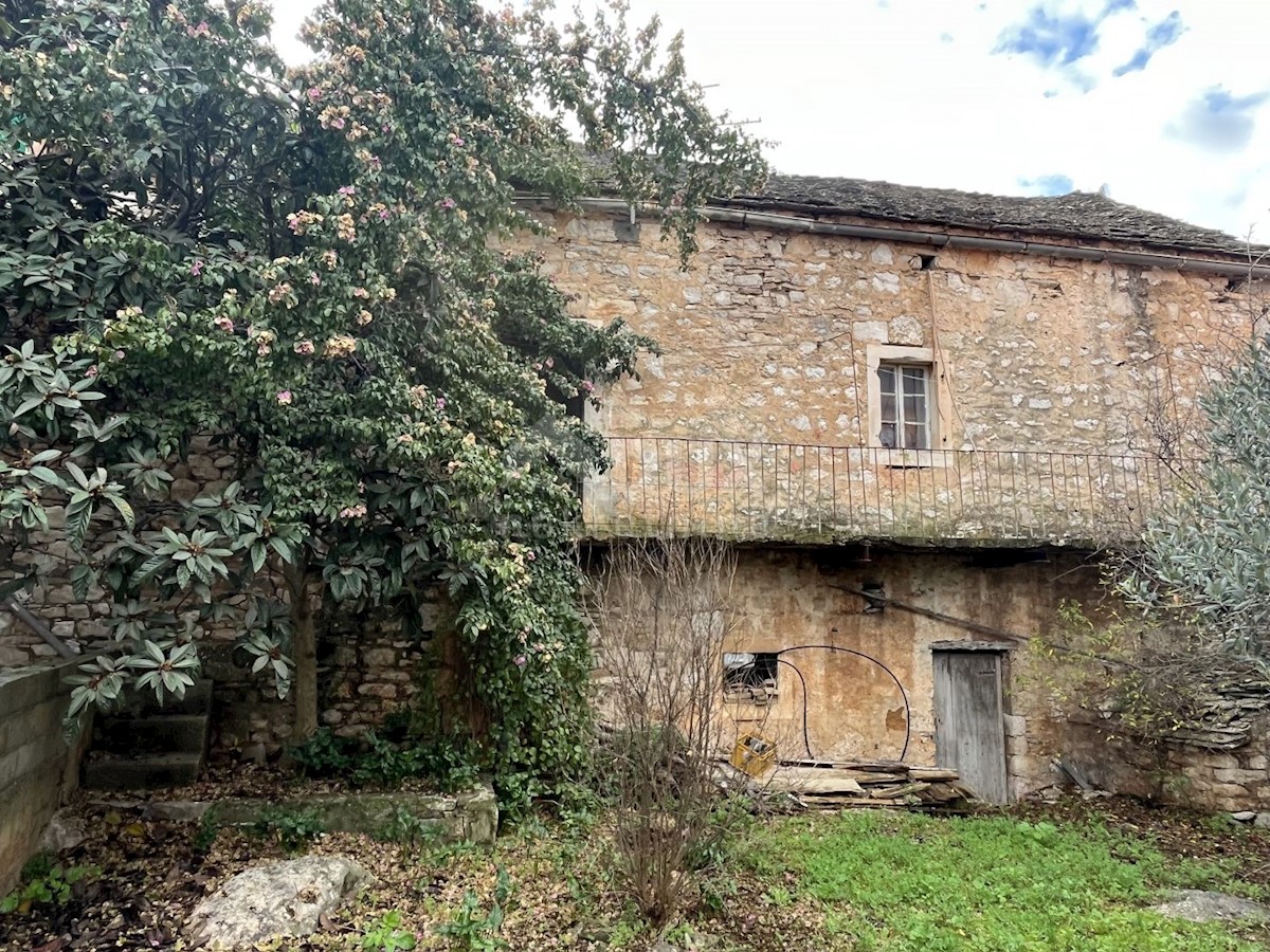 SUPETAR