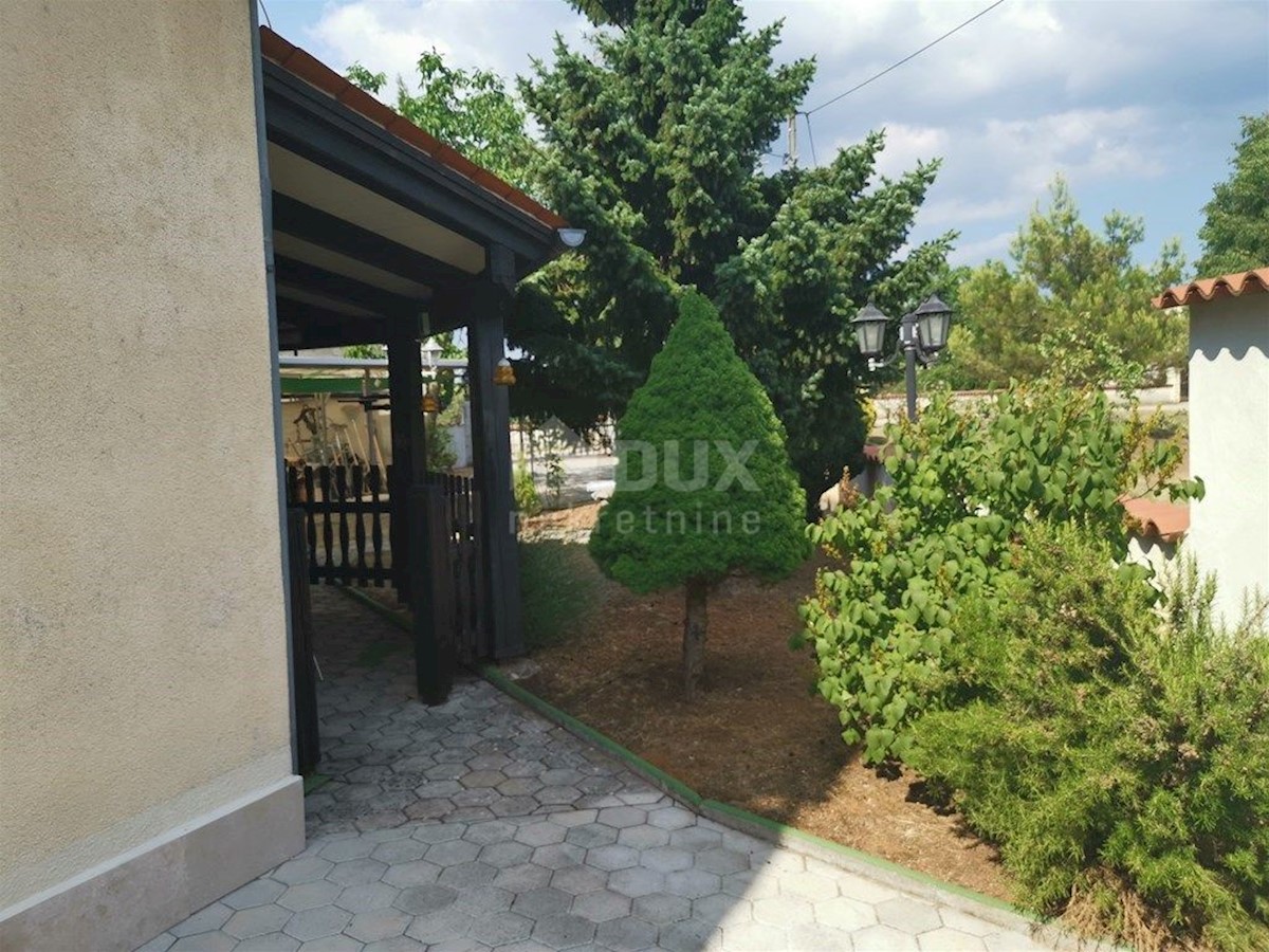 ŽMINJ