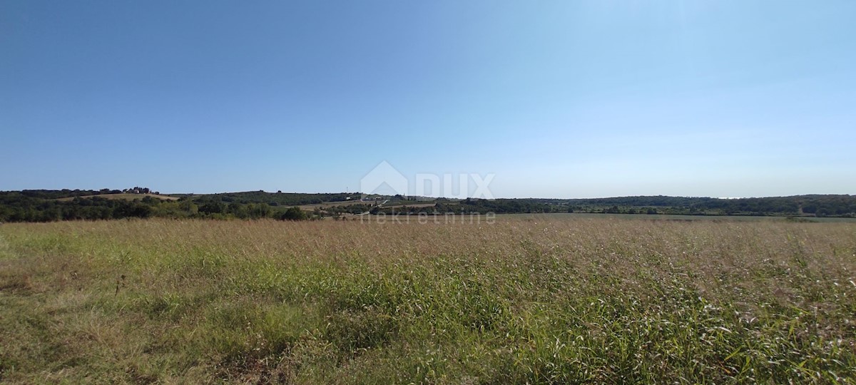 BUJE