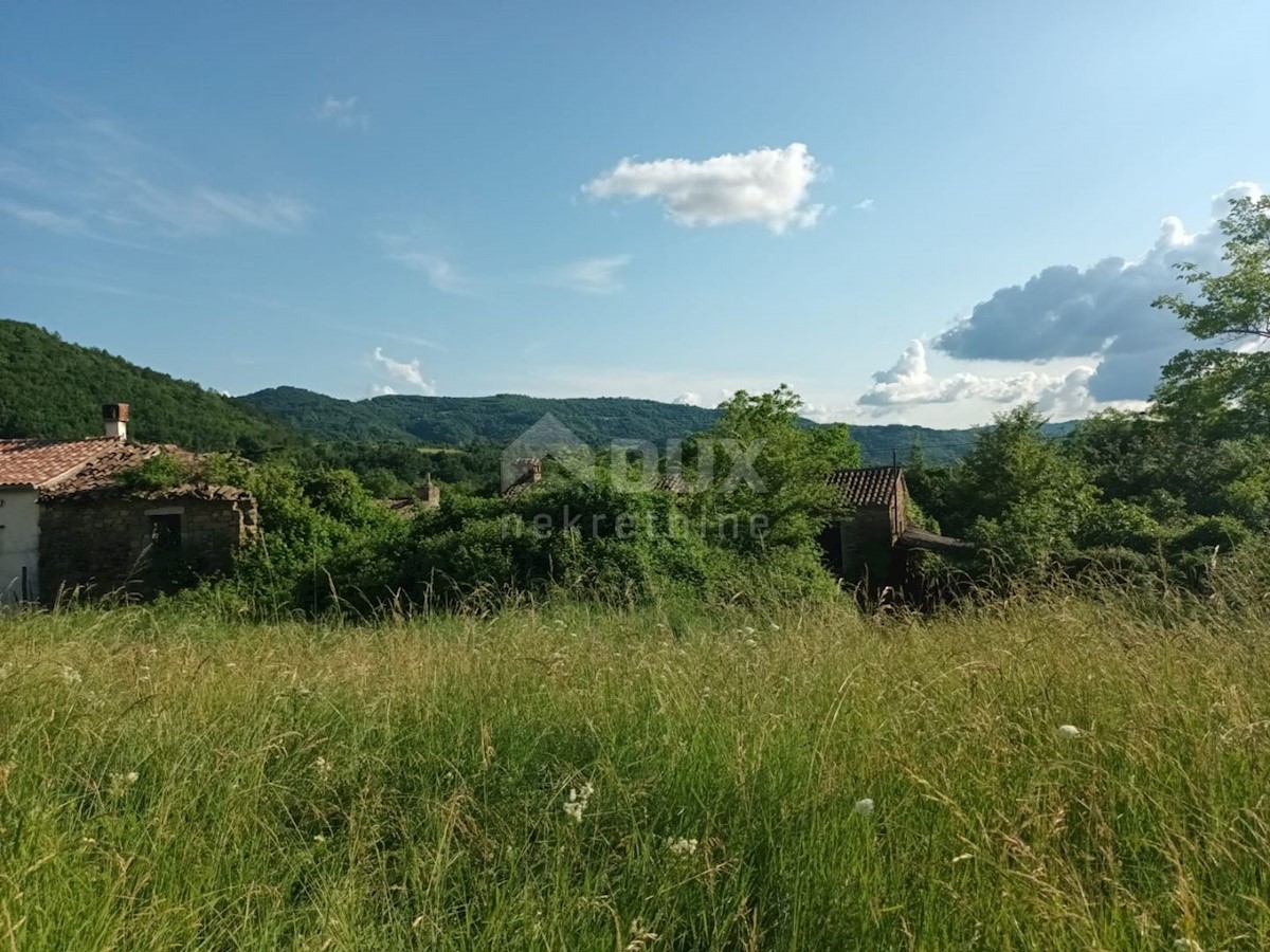 BUZET