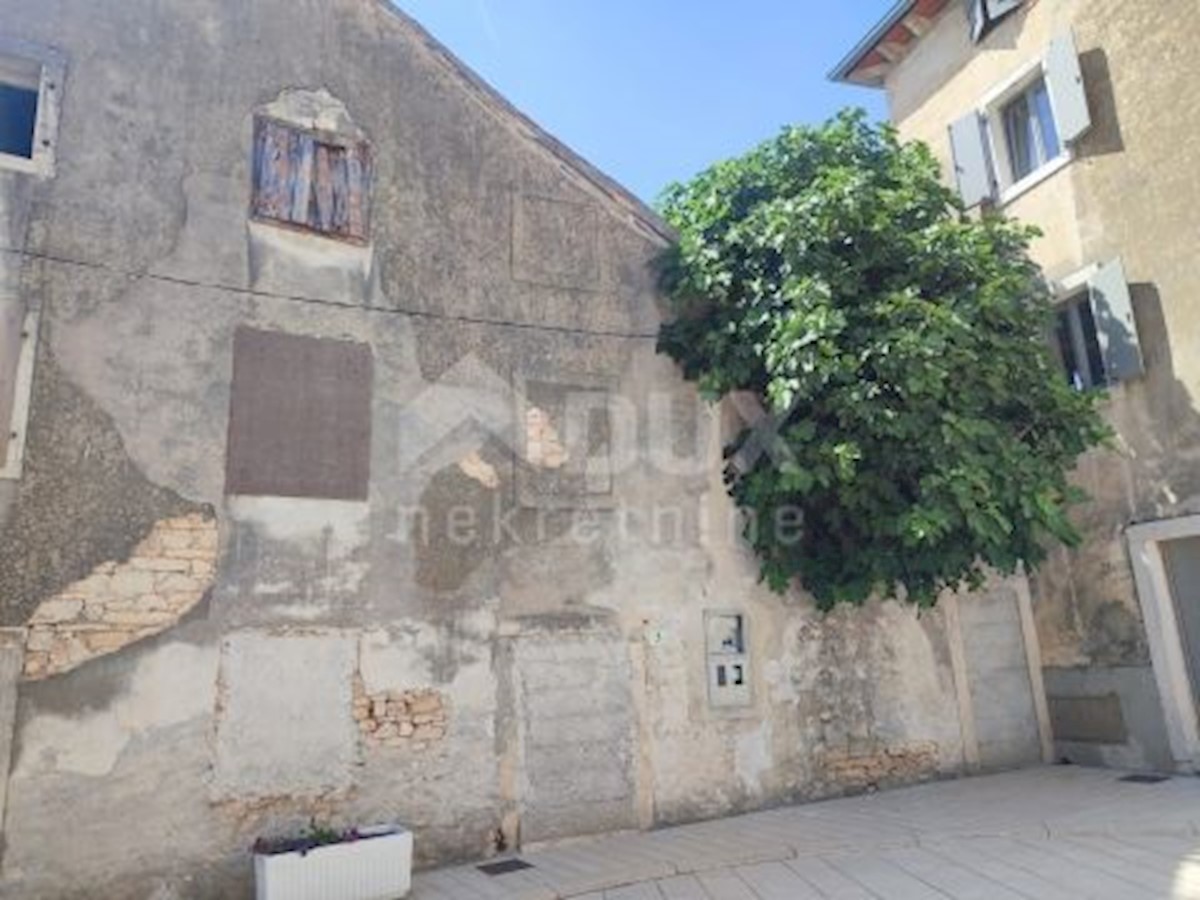 GALIŽANA