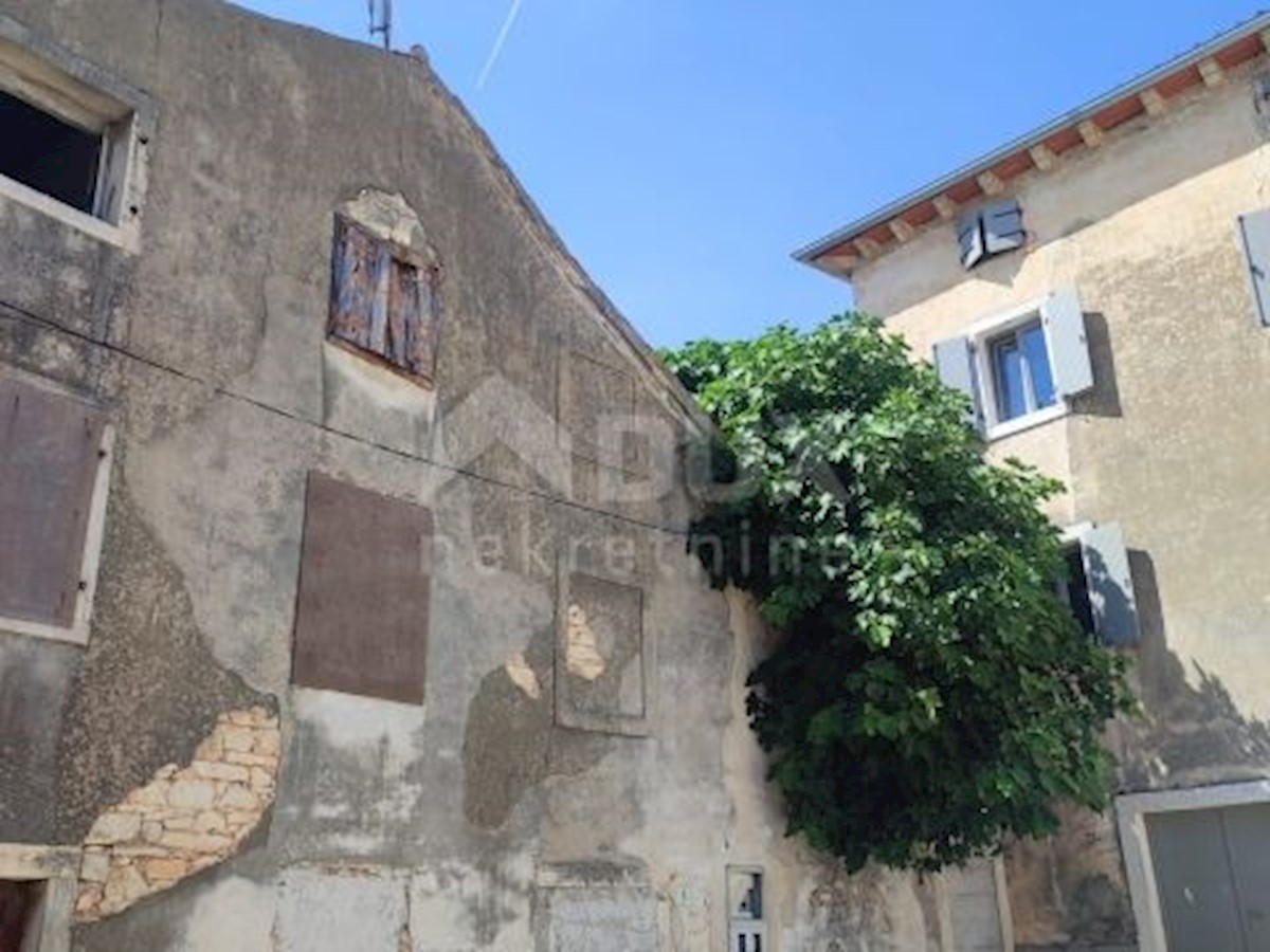 GALIŽANA