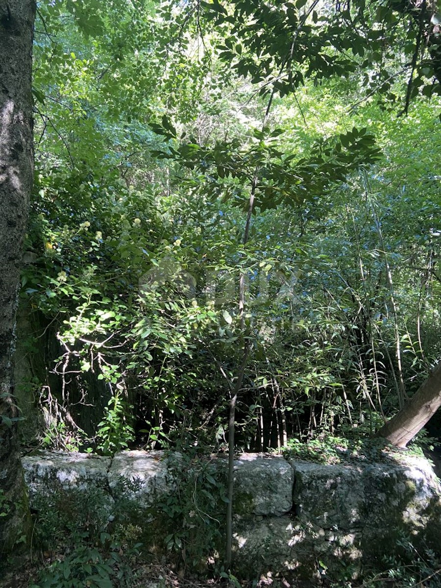 TRINAJSTIĆI